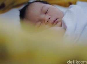Dicukur Habis, Rambut Bayi Bakal Tumbuh Lebat dan Tebal? Dicukur Habis, Rambut Bayi Bakal Tumbuh Lebat dan Tebal?