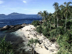 Melihat Ragam Biota Laut & Atraksi Budaya di Festival Pulo Aceh 2017