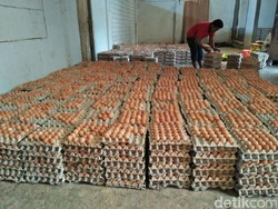 Harga Telur Ayam di Ambon Naik karena Kontainer Tertahan di Laut