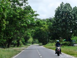 Pemerintah Sudah Siapkan 300.000 Ha Lahan untuk Ibu Kota Baru