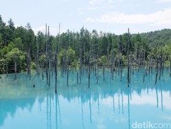 Bukan Photoshop, Ini Kolam Biru Sungguhan di Jepang