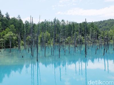 Foto: Aoiike, Kolam Biru Jepang yang Terlalu Cantik