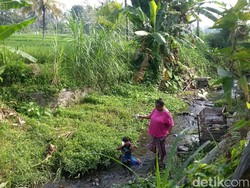 143 KIS Ditemukan di Sungai, Puskesmas Gandusari: Kartunya Aktif