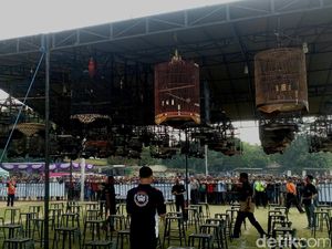 3 Ribu Burung Berkicau Berebut Piala Wali Kota Mojokerto Cup II