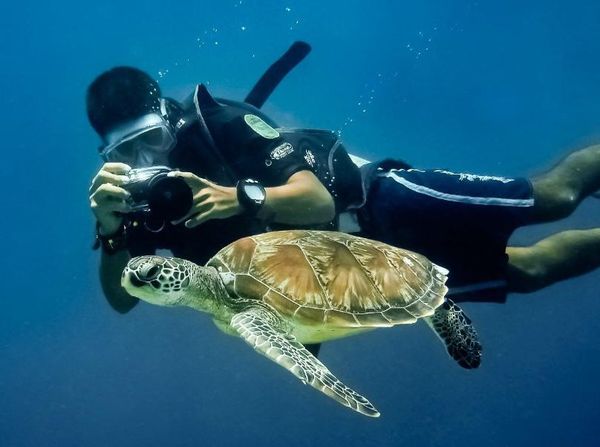 Foto: 10 Tempat Menyelam Terbaik di Asia