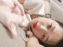 Gigit Kucing Peliharaan, Sulli Disebut Psikopat