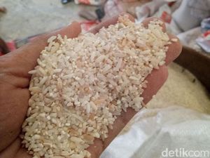 Laksanakan Perintah Presiden, Kejagung Mulai Dalami Kasus Beras Oplosan