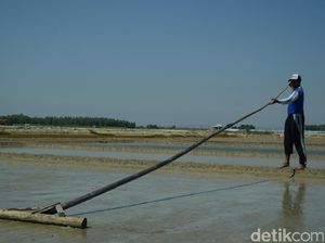 Kemarau Basah, Petani Garam di Rembang Resah