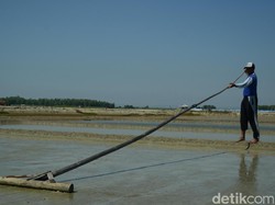 Kemarau Basah, Petani Garam di Rembang Resah