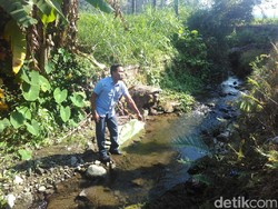 BPJS Cabang Surabaya Panggil 3 Jasa Ekspedisi, Ini Hasilnya