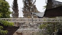 Ini Penampakan CCTV yang Dipasang Israel di Luar Masjid Al-Aqsa