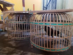 Pejudi Kabur saat Polisi Sukabumi Gerebek Arena Sabung Ayam