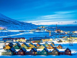 Lindungi Beruang Kutub dkk, Norwegia Batasi Kapal Pesiar