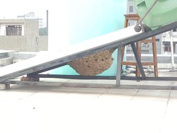 Coba Evakuasi Sarang Tawon, Warga di Pasar Baru Patah Kaki