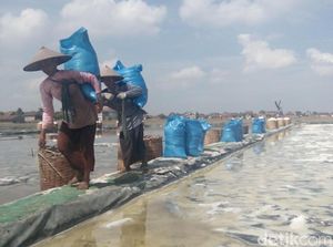 RI Mau Impor 75.000 Ton Garam, Bisa Atasi Kelangkaan? RI Mau Impor 75.000 Ton Garam, Bisa Atasi Kelangkaan?