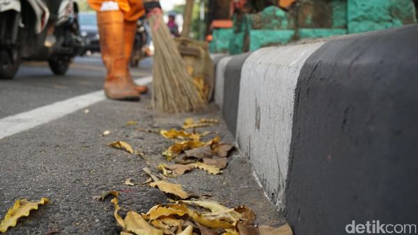 Foto: Melihat Kerja Pasukan Oranye dkk yang Disebut Malas-malasan
