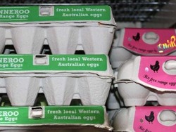 Jual Telur Organik Palsu, Perusahaan Australia Didenda Hampir Rp 10 M