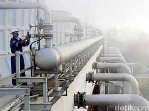 RI Jadi Tuan Rumah Pertemuan Akademisi-Investor Panas Bumi September