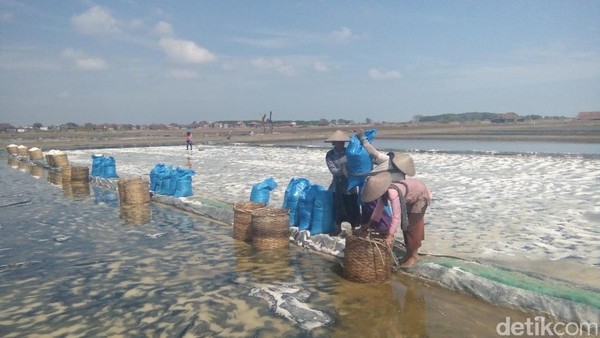 Kelangkaan Garam Dinas Kelautan Jateng Menyarankan Impor