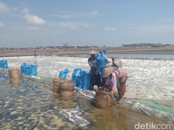 Harga Garam Naik 6 Kali Lipat, Petani: Senangnya Bukan Main!