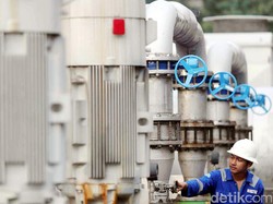 BUMN Energi Ini Buka Tiga Lowongan Kerja, Buruan Daftar!