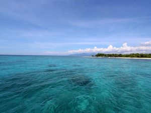 Celebrity on Vacation: Main ke Pulau Eksotis Tak Berpenghuni di Banyuwangi Celebrity on Vacation: Main ke Pulau Eksotis Tak Berpenghuni di Banyuwangi