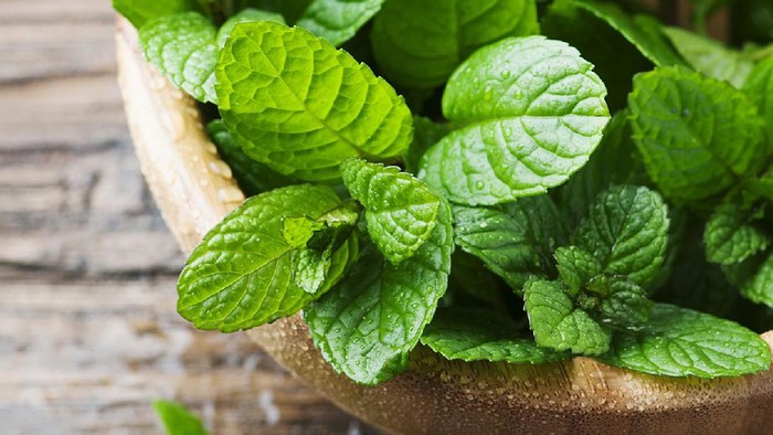 Foto: Thinkstock