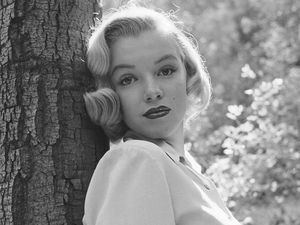 7 Foto Langka Marilyn Monroe Sebelum Terkenal Saat Berpose di Hutan