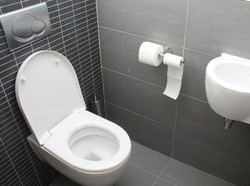 Ancaman Kanker Serviks di Toilet Umum
