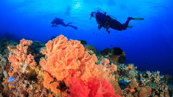 Foto: Sang Mantan Indonesia yang Jadi Tempat Menyelam Terbaik Asia