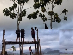 Manikmati Pagi di Bukit Banyon Trenggalek Jawatinut