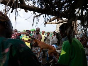 Tradisi Berdarah Pemujaan Dewa Besi di Nigeria