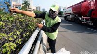 Perawatan Tanaman Hias di Flyover Matraman