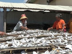 Harga Garam Mahal, Produksi Ikan Asin Turun 50 Persen