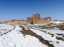 Si Ani yang Ditinggalkan