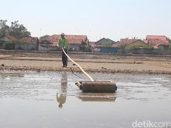 Tergiur Harga Mahal, Petambak di Brebes Beralih Jadi Petani Garam