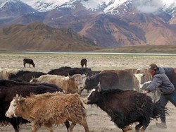 Mereka yang Hidup di Atap Dunia Tajikistan