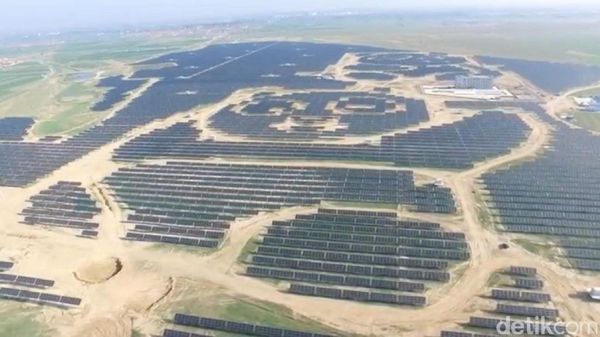 Gemes! Ada Panel Tenaga Solar Berbentuk Panda di China