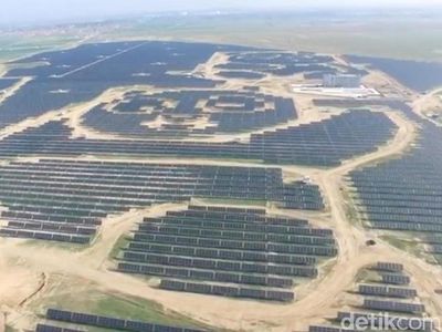 Gemes! Ada Panel Tenaga Solar Berbentuk Panda di China