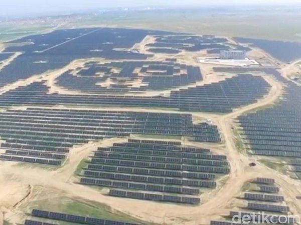 Gemes! Ada Panel Tenaga Solar Berbentuk Panda di China
