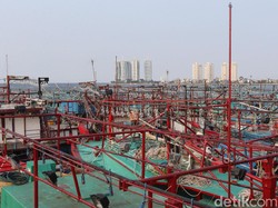 KKP: Cantrang Sudah Selesai, Tak Boleh Dipakai Mulai Tahun Depan!