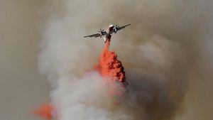 Foto: Aksi Pemadaman Kebakaran Hutan di Berbagai Belahan Dunia