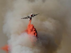 Foto: Aksi Pemadaman Kebakaran Hutan di Berbagai Belahan Dunia