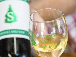 Bukan dari Buah Anggur, Wine Ini dari Tomat dan Apel, Mau Cicip?