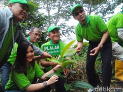 101 Tanaman Langka Ditanam di Gunung Selok Cilacap