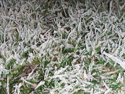 Embun Es Dieng Datang Bikin Was-was Para Petani Kentang