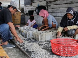 Garam Langka, Pengusaha Ikan Asin di Aceh Kesulitan Bahan Baku