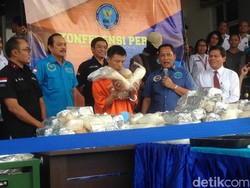 Buwas: Sindikat Taiwan di Pluit Sudah 6 Kali Selundupkan Sabu