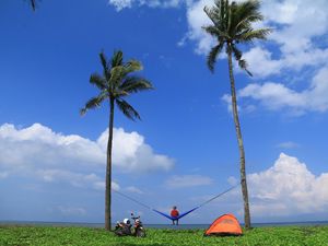 Piknik Asik