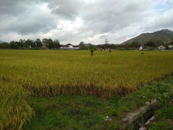 Pemkab Trenggalek Usulkan Pembangunan GOR ke Kemenpora Rp 20 M